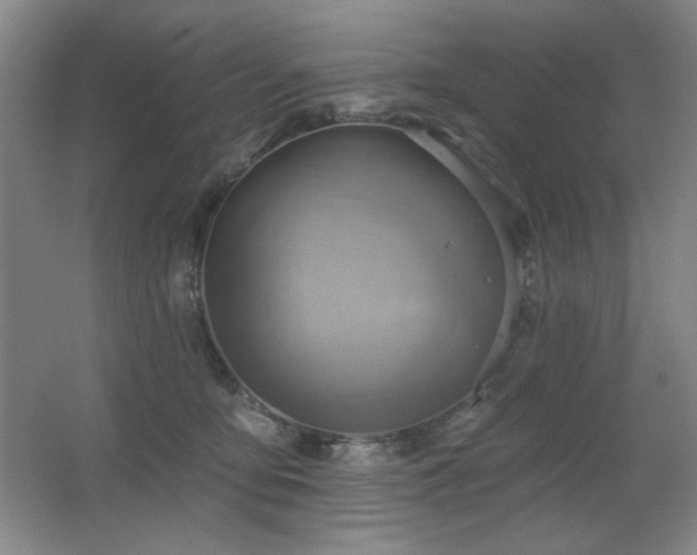 X0000067350419200603311157