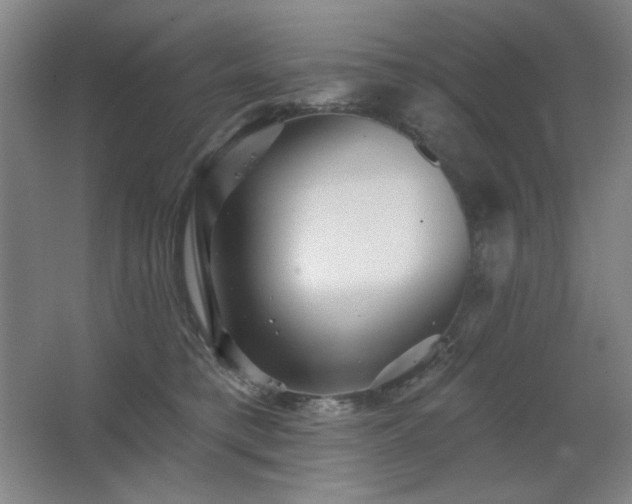 X0000067350421200603311157
