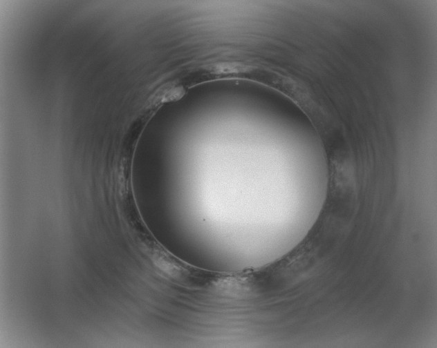 X0000067350422200603311157