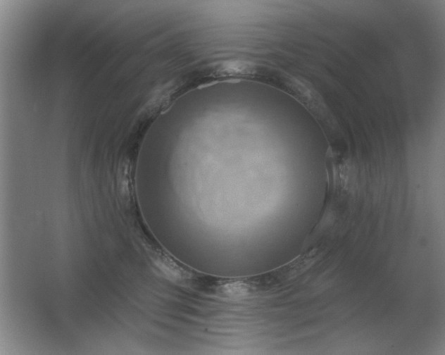 X0000067350423200603311157