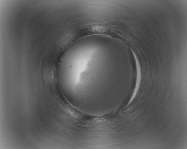 X0000067350424200603311157