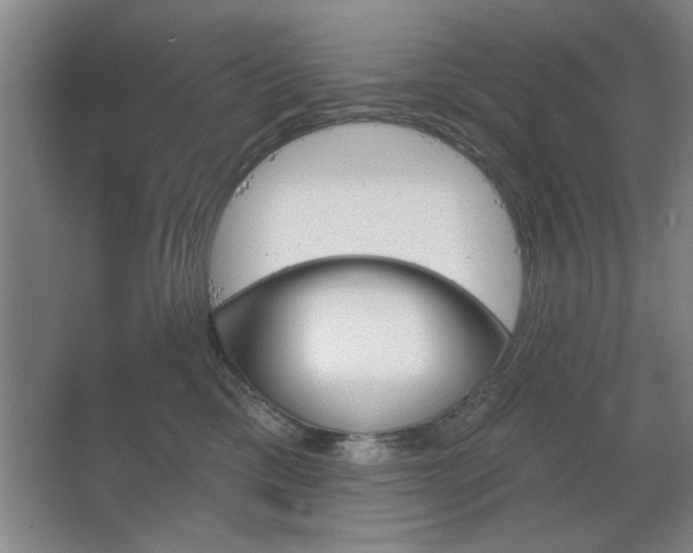 X0000067350425200603311157