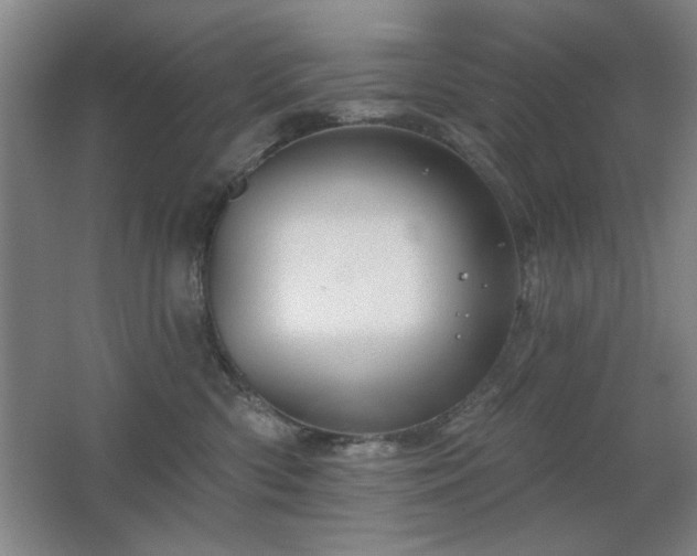 X0000067350426200603311157