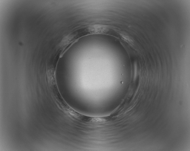 X0000067350429200603311157