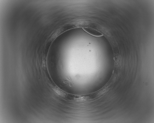 X0000067350430200603311157