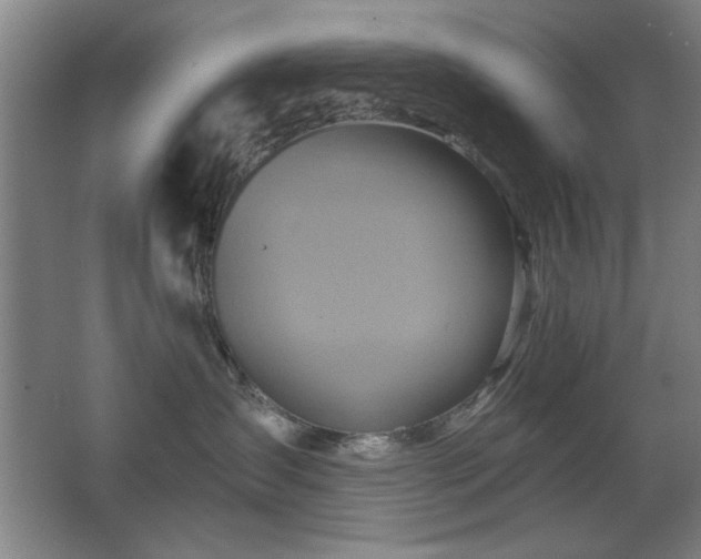 X0000067350431200603311157