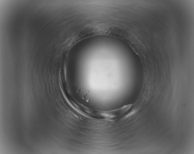 X0000067350432200603311157