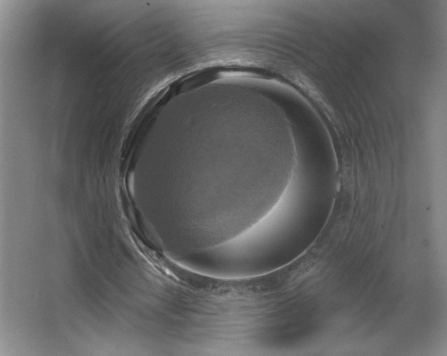 X0000067350434200603311156