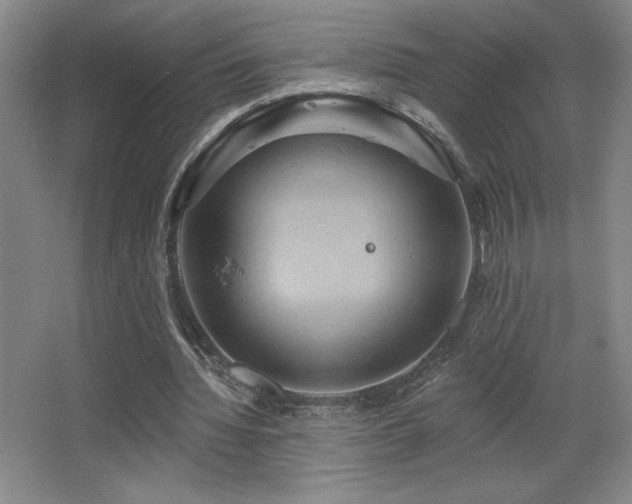 X0000067350436200603311156
