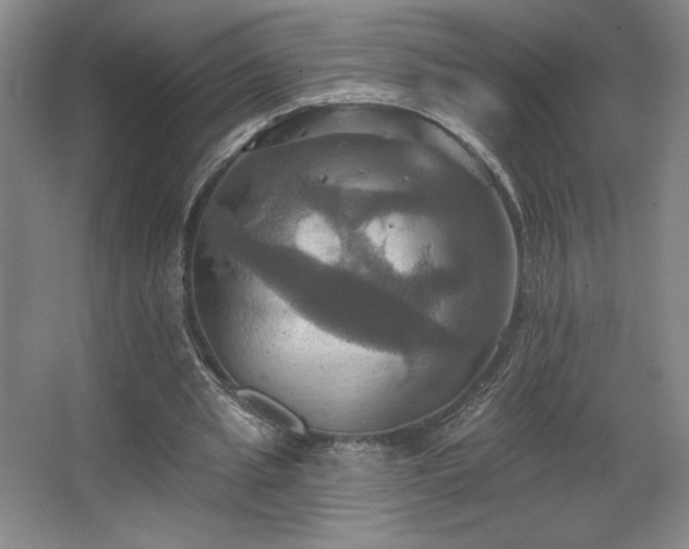 X0000067350437200603311156