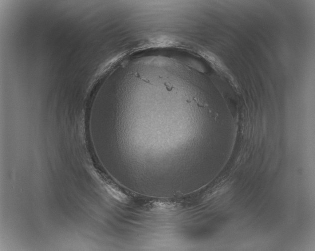 X0000067350442200603311156