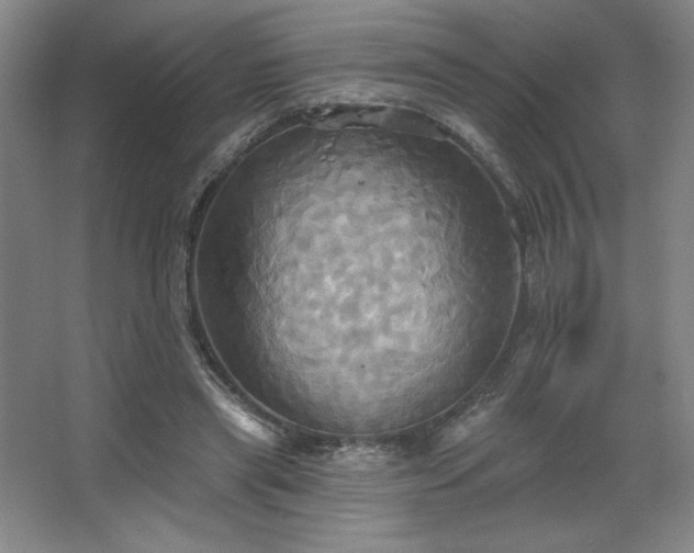 X0000067350445200603311156