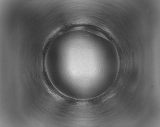 X0000067350446200603311156