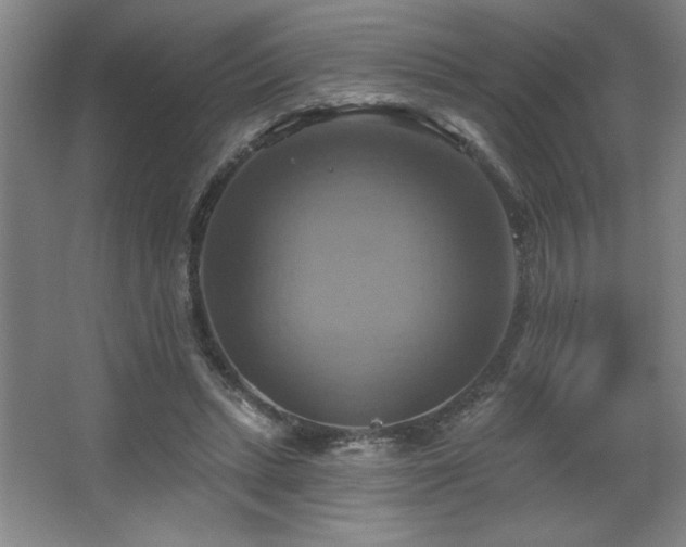 X0000067350447200603311156