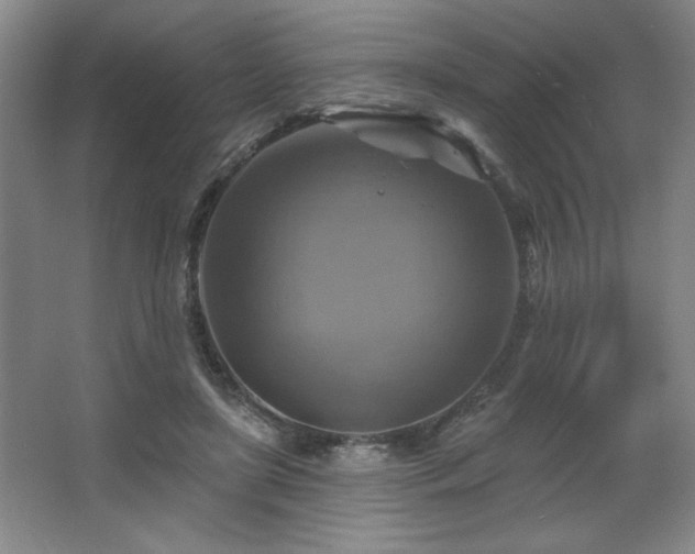 X0000067350451200603311156