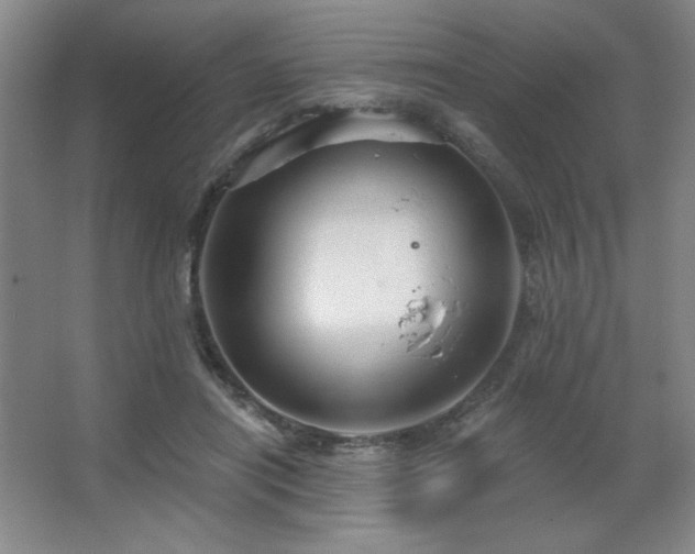 X0000067350454200603311156