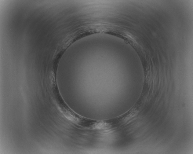 X0000067350459200603311157