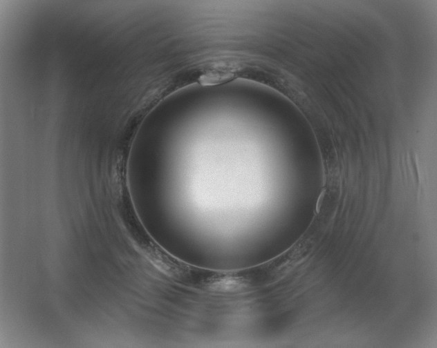 X0000067350460200603311157