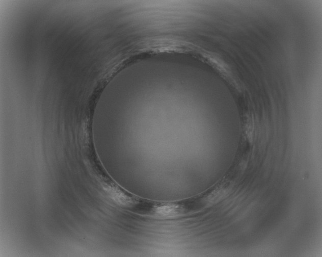 X0000067350461200603311157