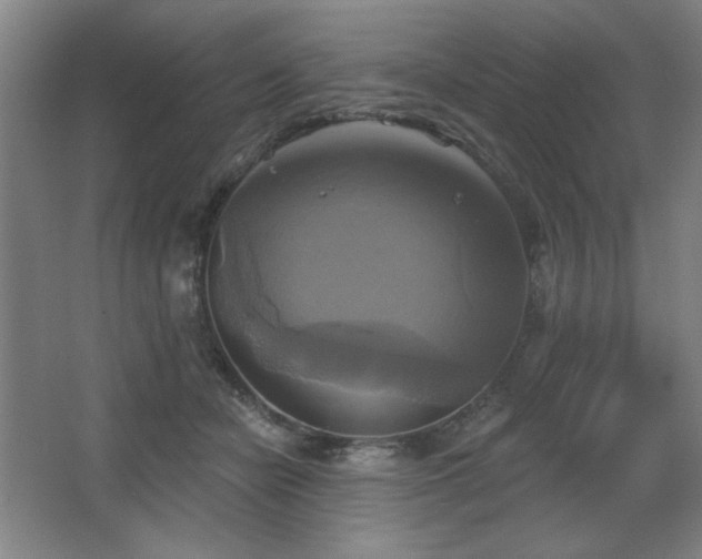 X0000067350462200603311157