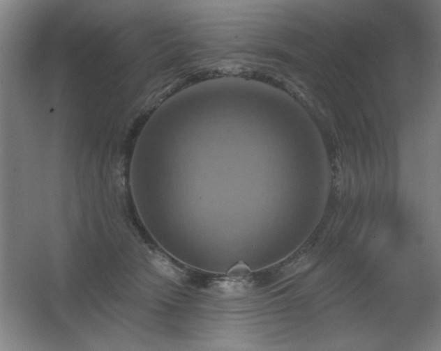 X0000067350466200603311157