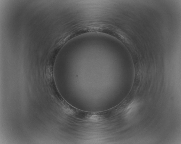 X0000067350467200603311157