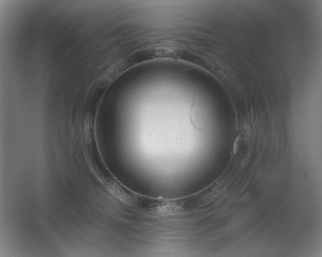 X0000067350468200603311157