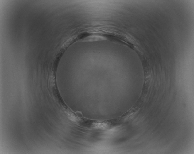 X0000067350469200603311157