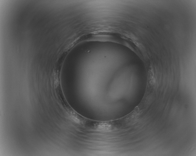 X0000067350471200603311157
