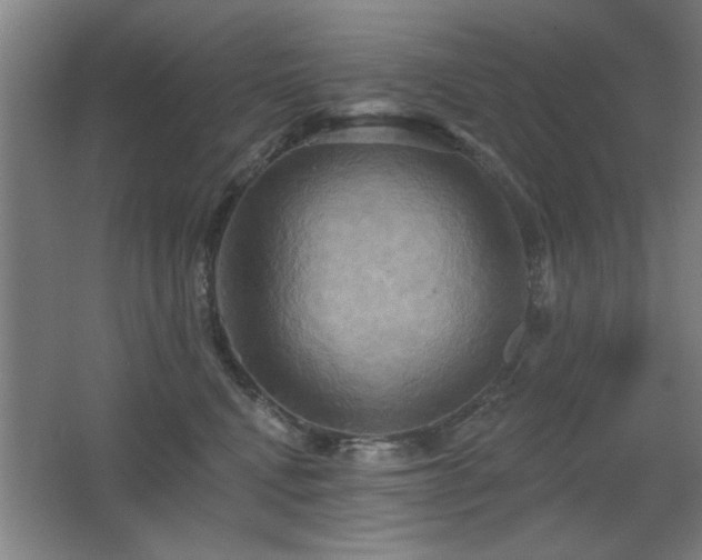 X0000067350472200603311157