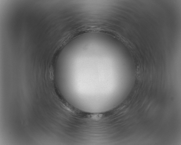 X0000067350474200603311157