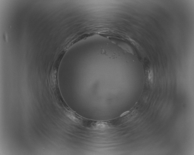 X0000067350475200603311157
