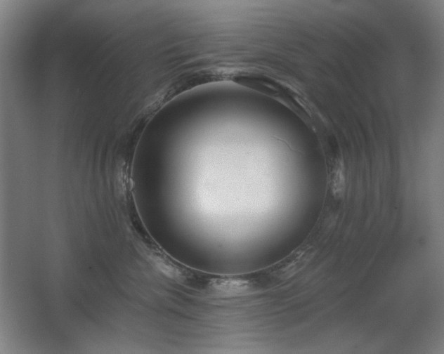 X0000067350476200603311157