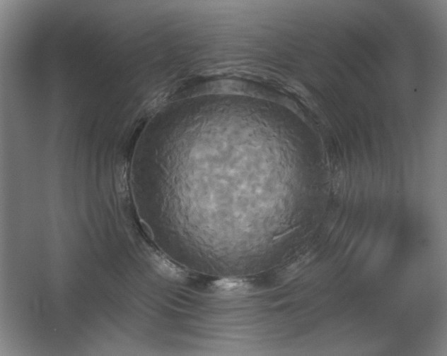 X0000067350477200603311157