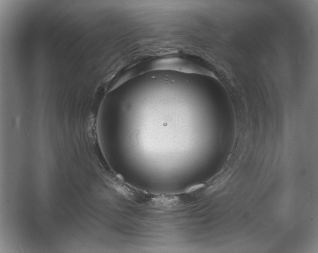 X0000067350480200603311157