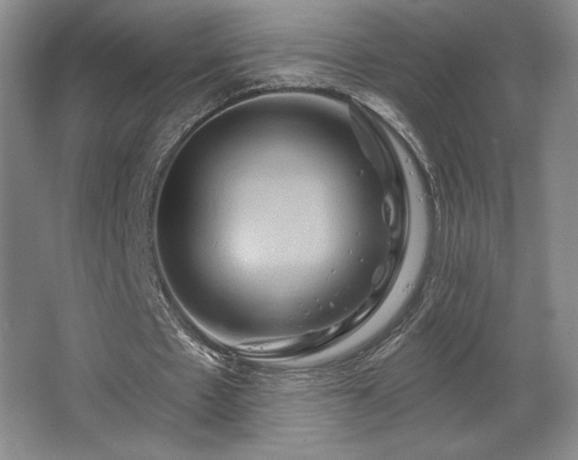 X0000067350481200603311156