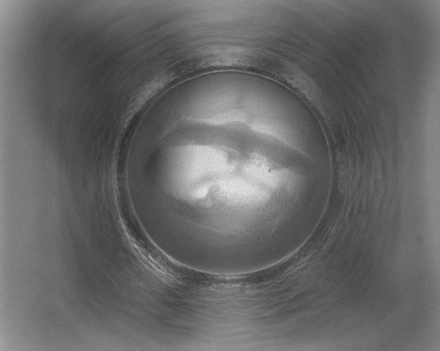 X0000067350482200603311156