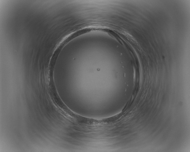 X0000067350484200603311156