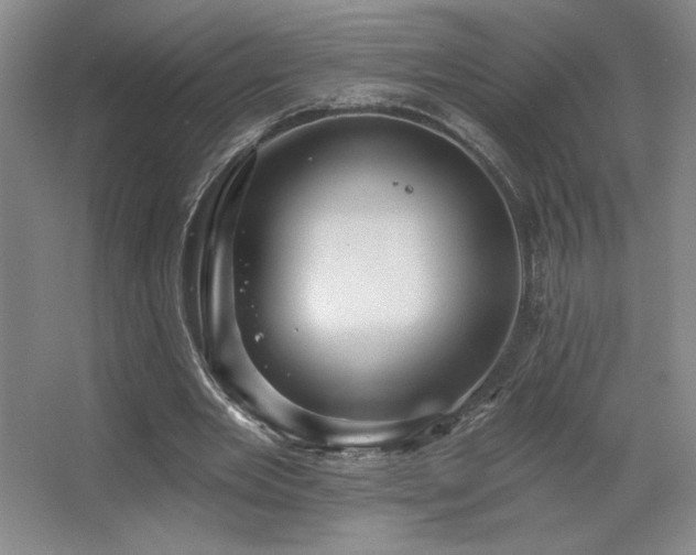 X0000067350485200603311156