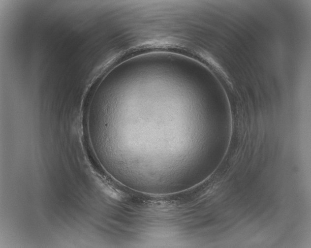 X0000067350486200603311156