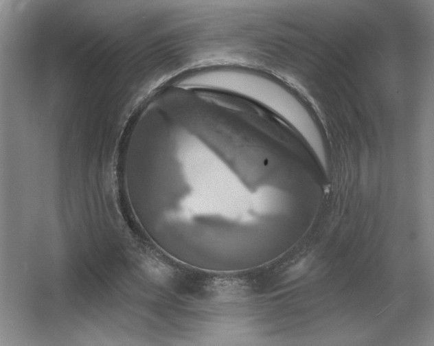 X0000067350487200603311156
