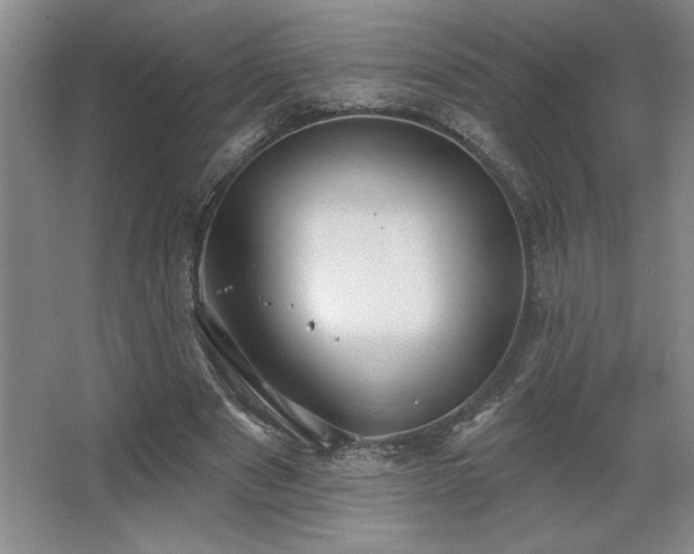 X0000067350489200603311156