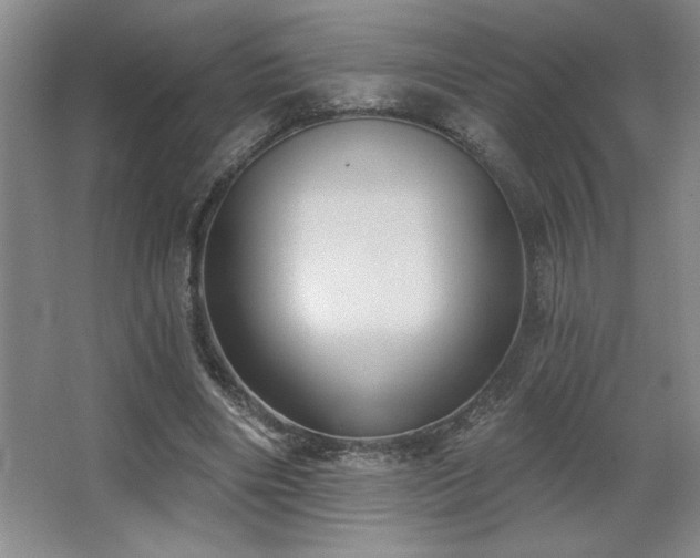X0000067350490200603311156