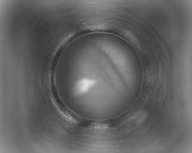 X0000067350491200603311156