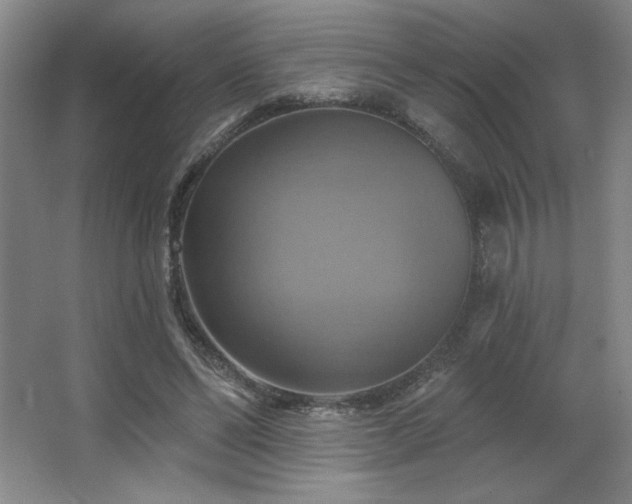 X0000067350494200603311156