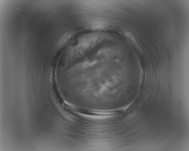 X0000067350495200603311156