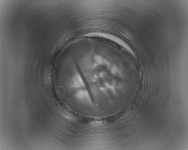 X0000067350499200603311156