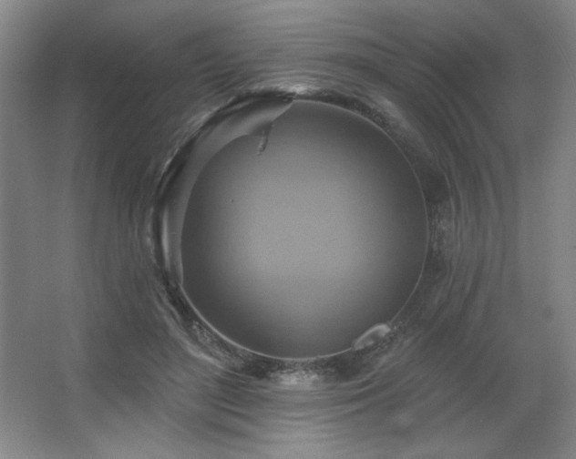 X0000067350500200603311156