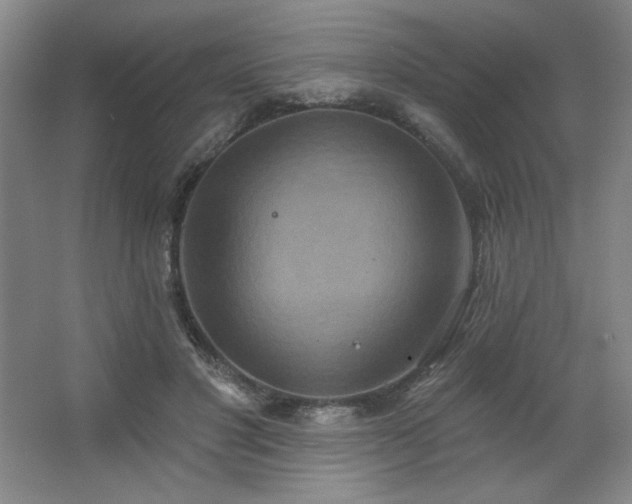 X0000067350501200603311156