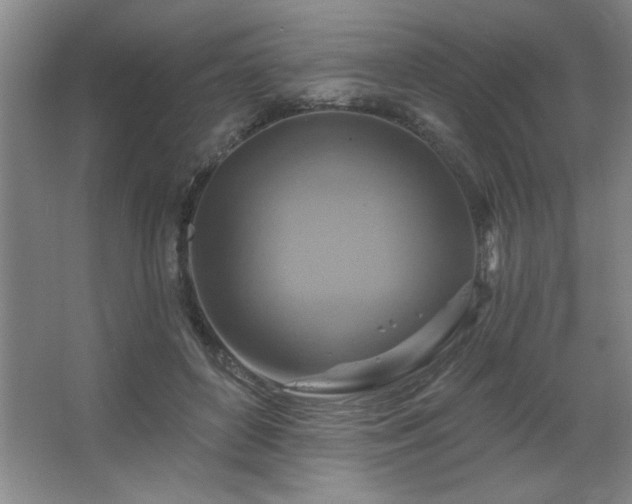 X0000067350504200603311156